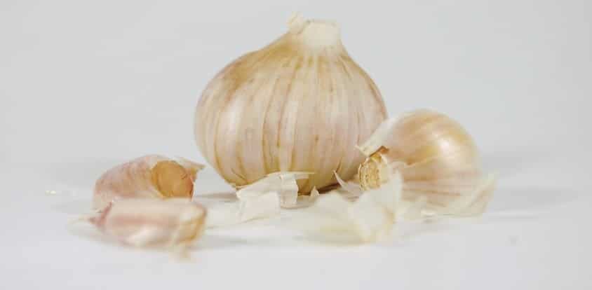 Head Garlic aus Thailand